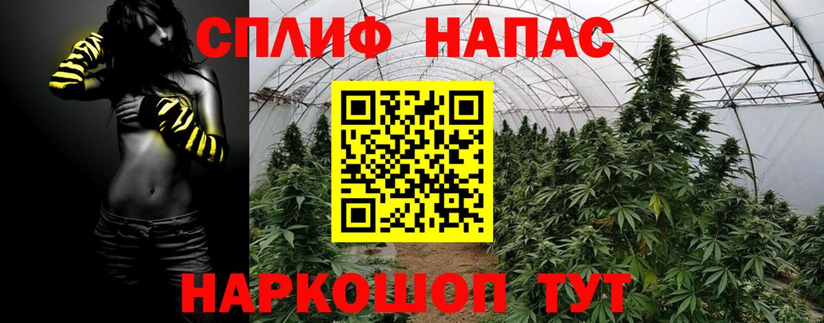 Конопля OG Kush Жигулёвск