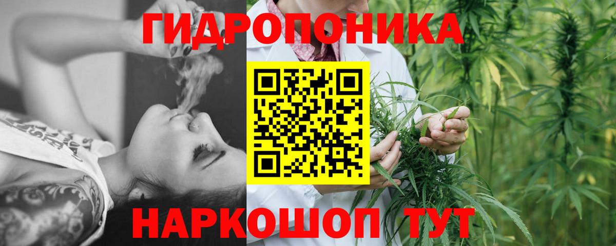 Бошки Шишки марихуана  Вход с VPN  Конопля THC 21%  Жигулёвск  Конопля White Widow 